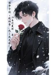 《被争夺的s级向导,成了我老婆?》