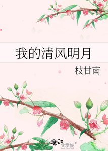 《我的清风明月》